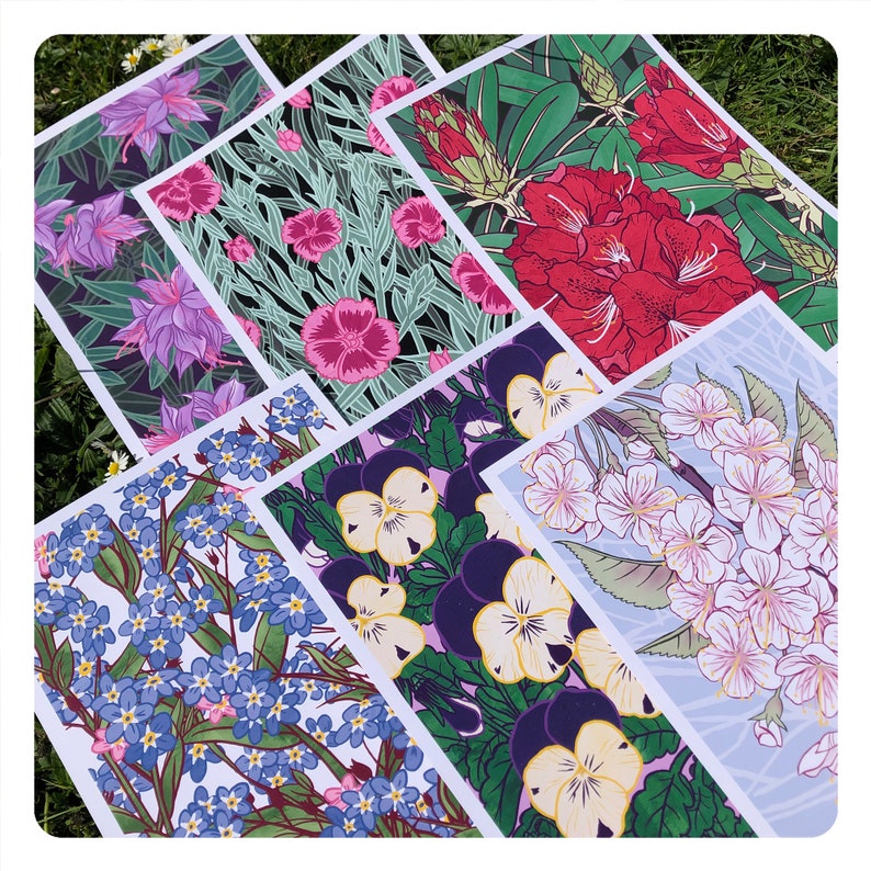 A product photo of several overlaid prints of different flower illustrations by chris cowdrill.